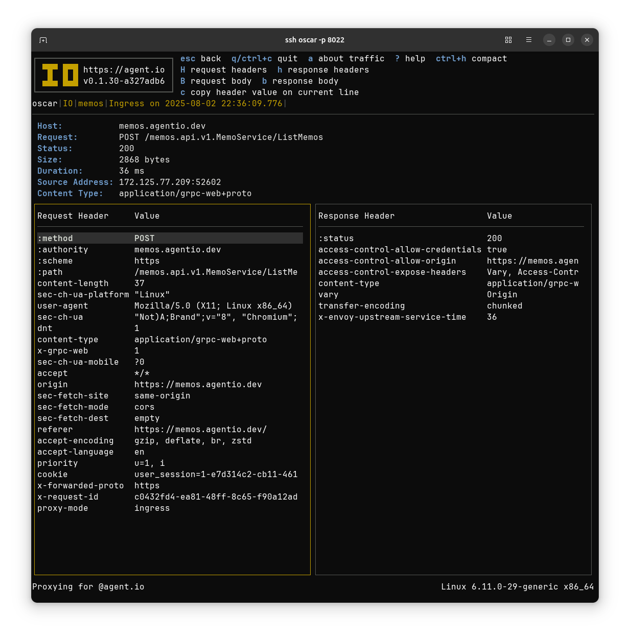 The headers for a Memos API request