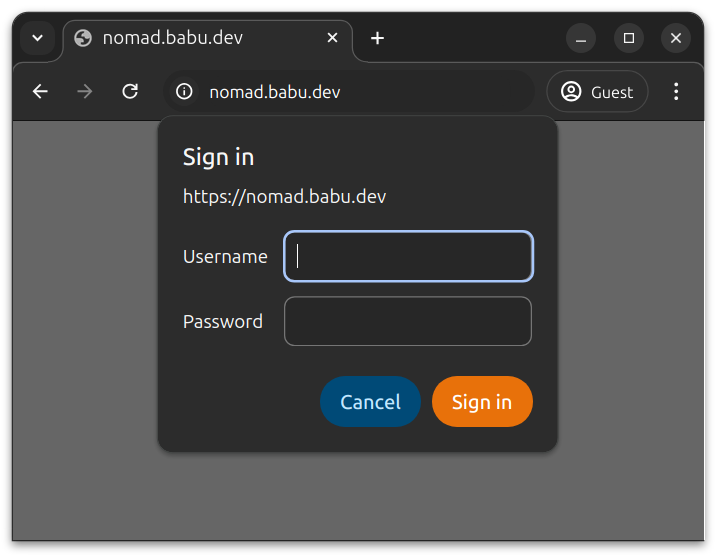 Basic auth login screen